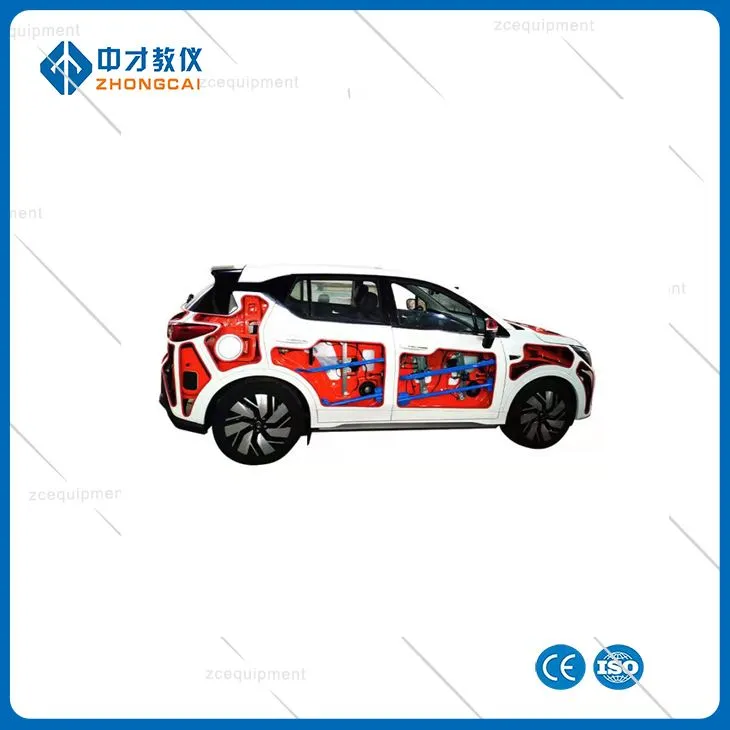 Model Hyfforddi Model Anatomeg Cerbyd