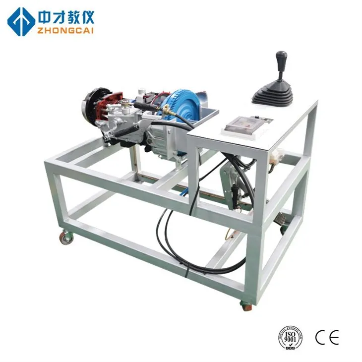 Platfform arddangos anatomeg trosglwyddo â llaw